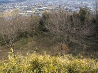 Kiikameyama8.jpg
