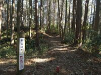Kokashingu23.jpg