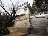 Koromo6.jpg