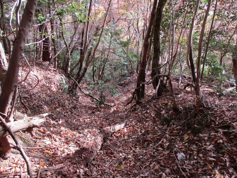 File:MinoOjimajou 006.jpg