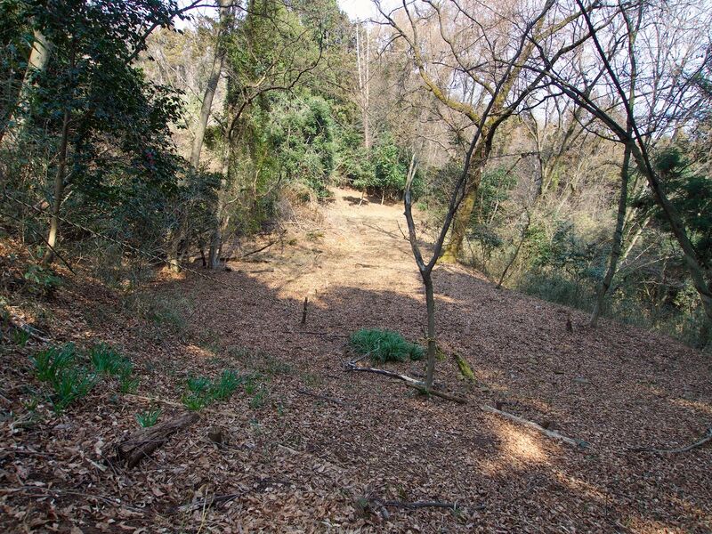 File:Nishikata54.jpg
