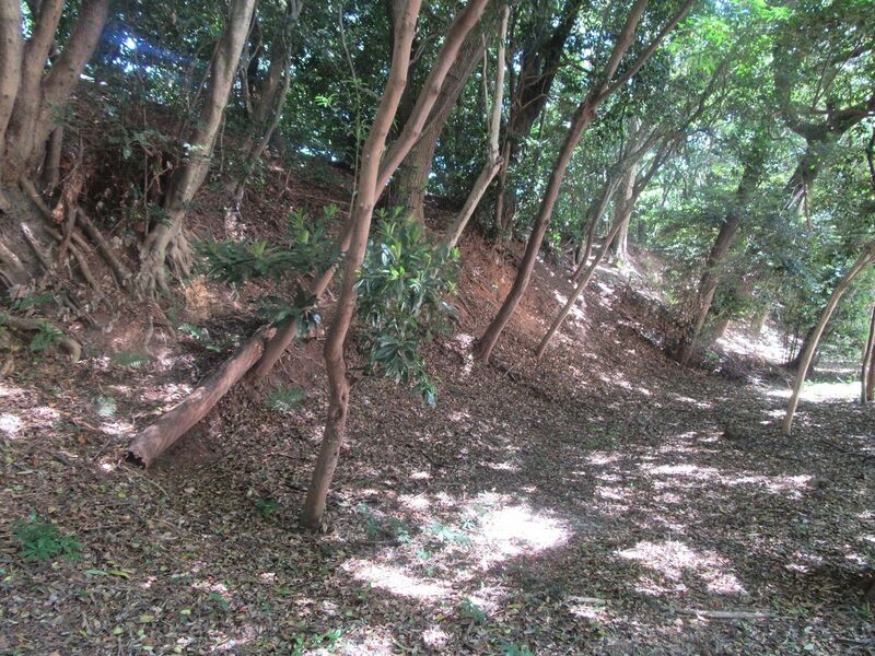 File:Ohkusa1.jpg