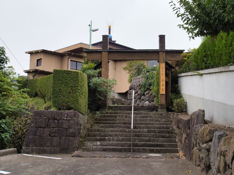 File:Shibukawayorii1.jpg