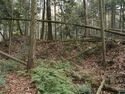 Shishiudoyakata40.jpg