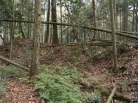 Shishiudoyakata40.jpg