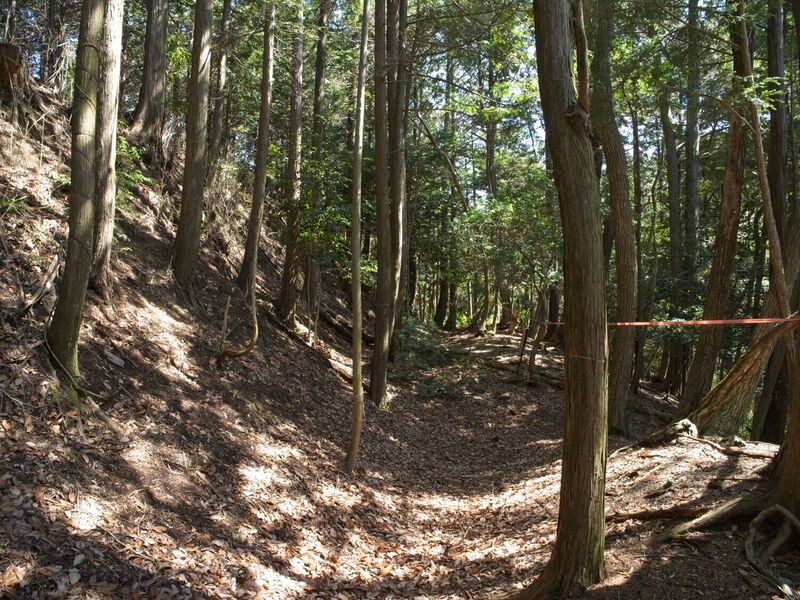 File:Takaokoka5.jpg