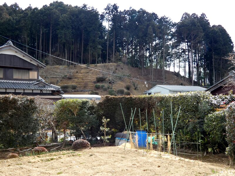 File:Tonoyamakokaray8.jpg