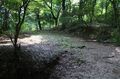 Thumbnail for version as of 13:32, 24 June 2017