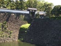 Edo75.jpg