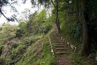 Kawamura18.jpg