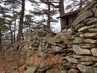Matsuoko25.jpg