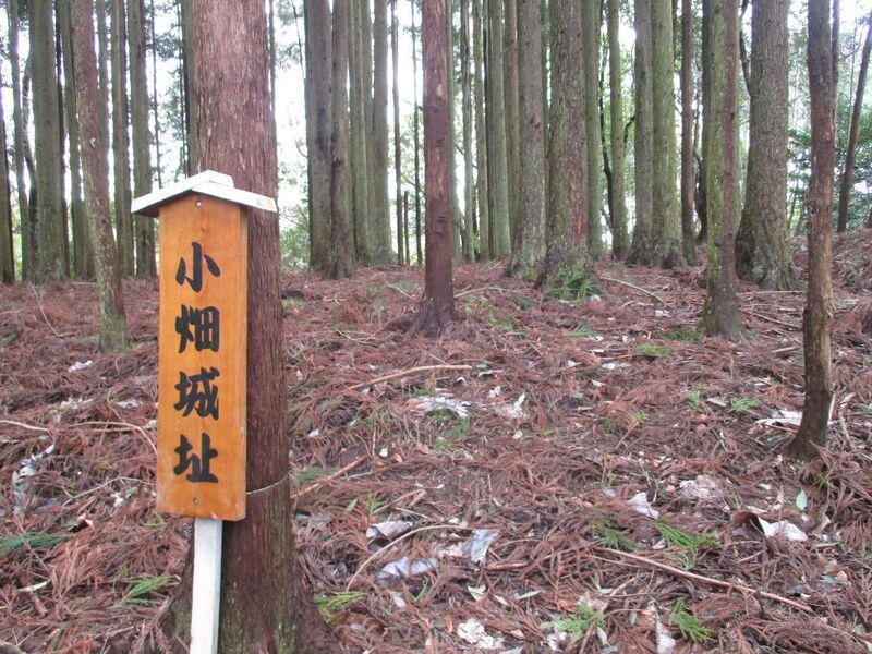 File:NorisadaKobatajou (1).jpg