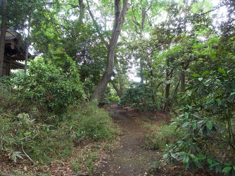File:Shimura6.jpg