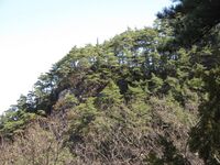 ShiodajouHigashiToride (7).JPG