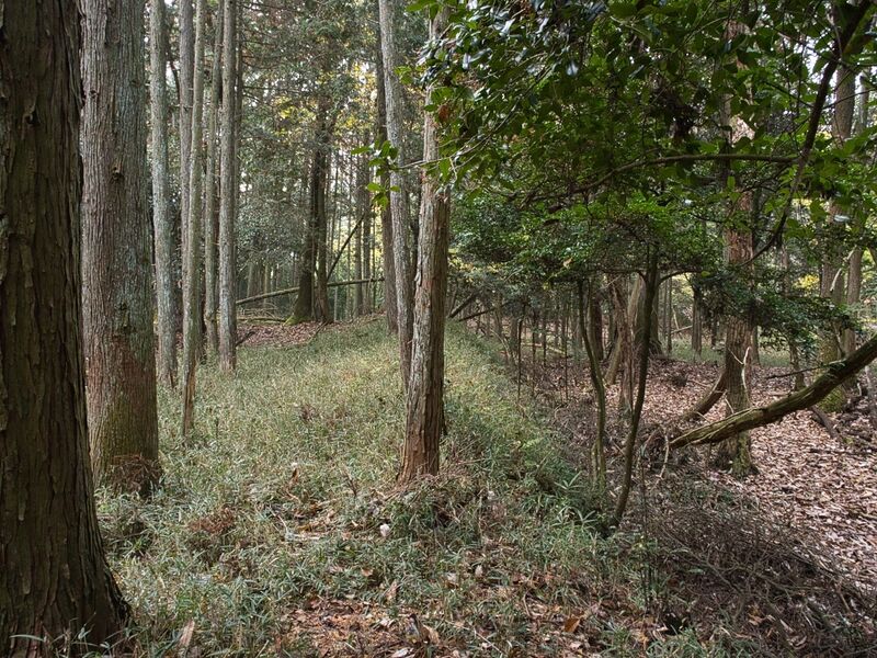 File:Shishiudoyakata44.jpg