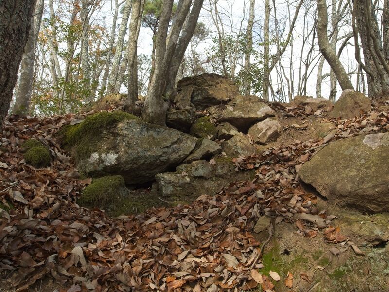 File:Shuuchi38.jpg