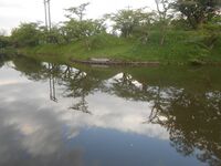 SomaNakamura (17).JPG