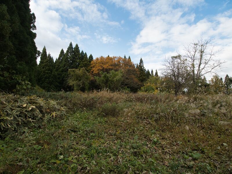 File:Tagaya3.jpg