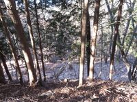 山吹大城24LongKoshikuruwa.JPG