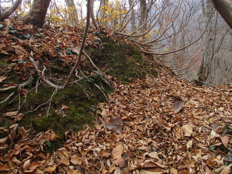 File:AdzumiIidajou (28).jpg