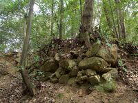 Akitakayama29.jpg