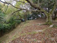 Akitakayama40.jpg