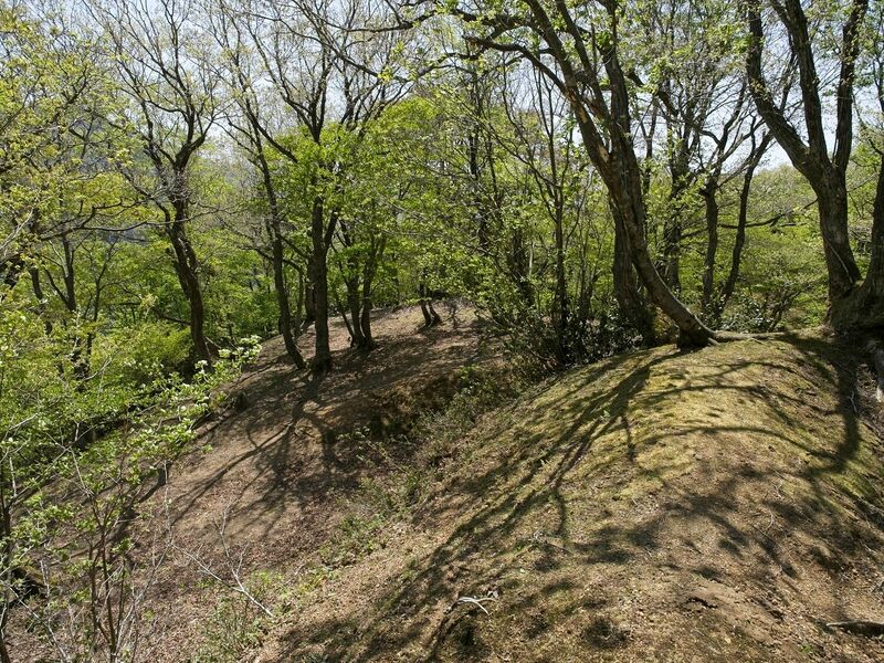 File:Genbao17.jpg