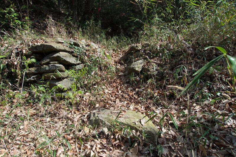 File:Hanazono13.jpg