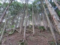 HidaKojima (11).JPG
