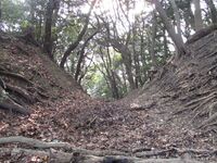 KanegasakijouART (1).JPG