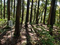 Kogaminekyoto12.jpg