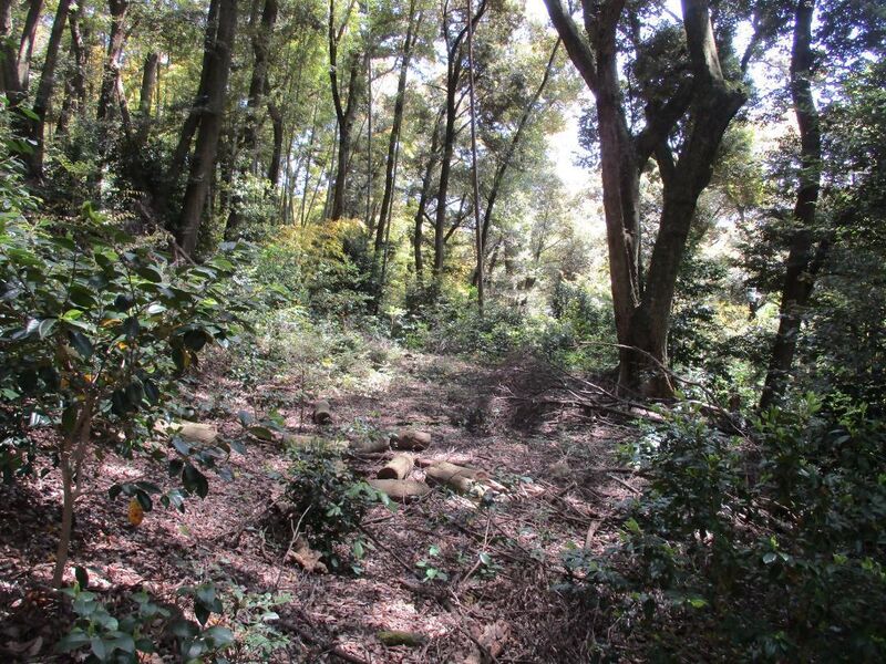 File:MikawaShinpukujijou (21).jpg