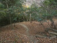 Nakaokyoto4.jpg