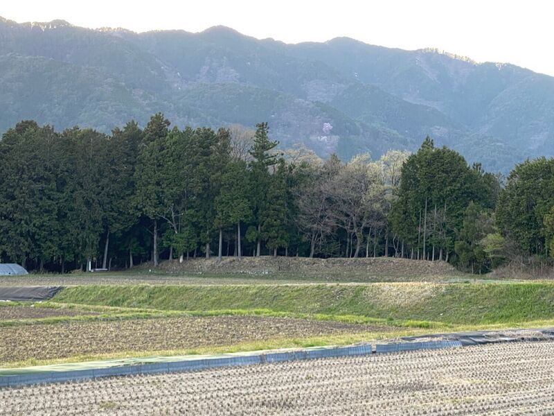File:SakuraborajouChris (12).jpg