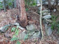 Samegaijou (1).JPG