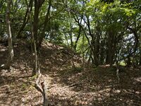 Shinmeiyamashizu24.jpg