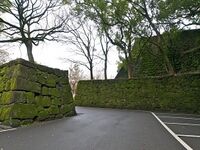 Wakayama10.jpg