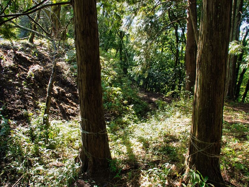 File:Yamagajinya20.jpg