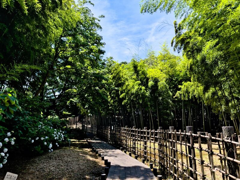 File:Akayamajinya17.jpg