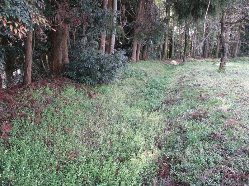 File:FuwaSeki (38).jpg