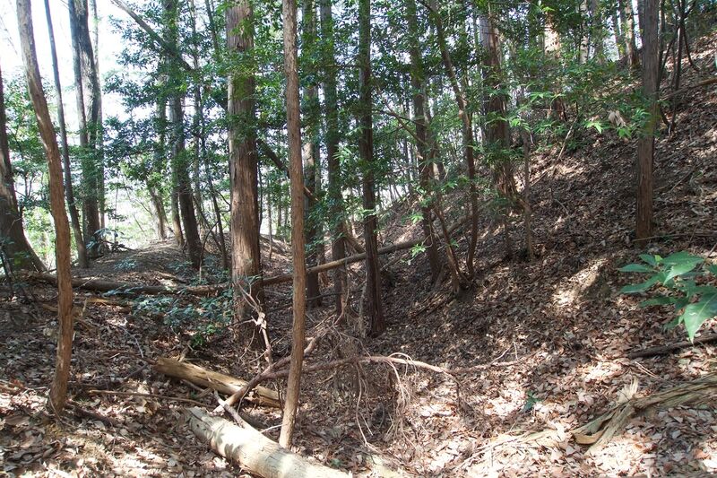 File:Hanazonomitake14.jpg