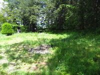 IidaToride (6).JPG