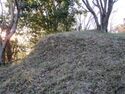 IzuOhdairashinjou07.2.JPG