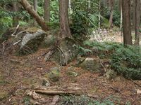 Kannosankyoto17.jpg