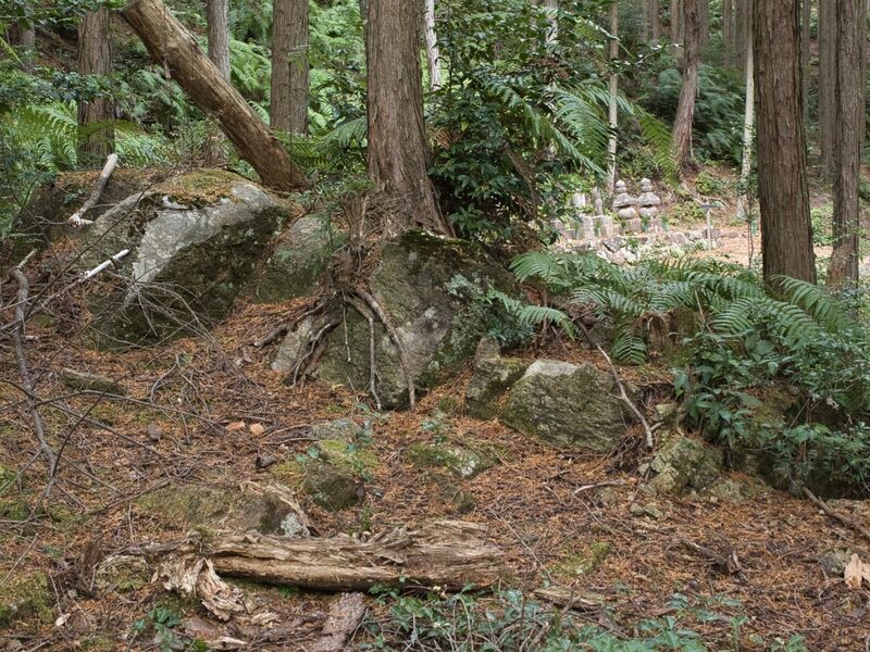 File:Kannosankyoto17.jpg