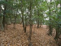 Nakaokyoto30.jpg