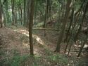 Ogawanishinokoka23.jpg