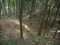 Ogawanishinokoka23.jpg