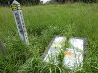 Sadowarajô (46).JPG