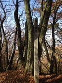 Takinoirijou (10).JPG